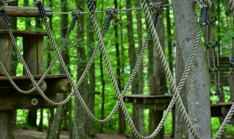Top 10 des ateliers d&rsquo;accrobranche
